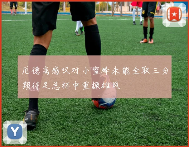厄德高感叹对小蜜蜂未能全取三分期待足总杯中重振雄风
