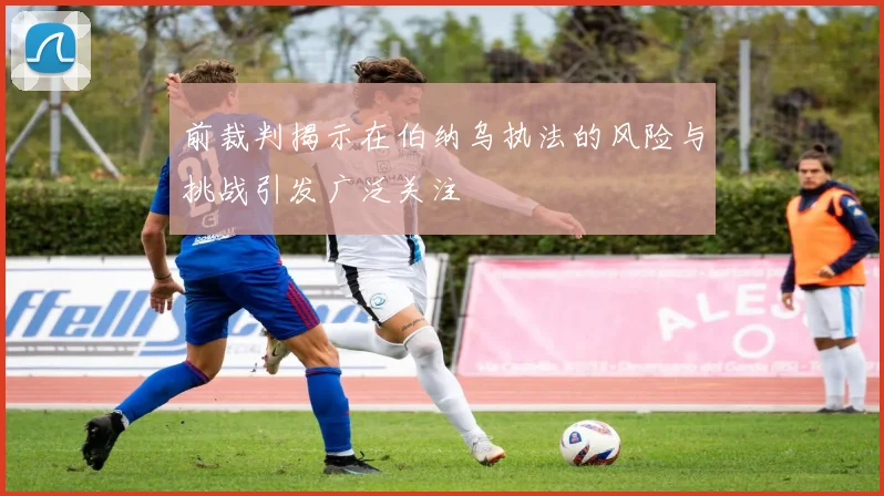 前裁判揭示在伯纳乌执法的风险与挑战引发广泛关注