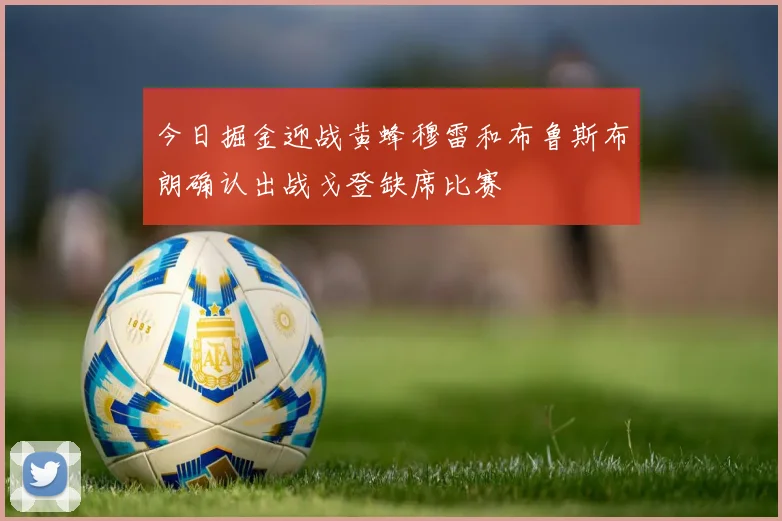今日掘金迎战黄蜂穆雷和布鲁斯布朗确认出战戈登缺席比赛