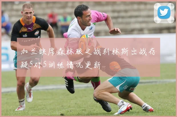 加兰缺席森林狼之战科林斯出战存疑5对5训练情况更新