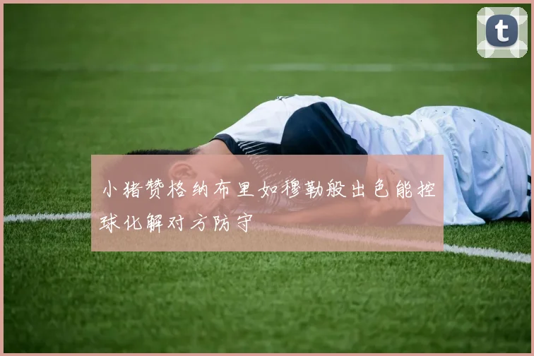 小猪赞格纳布里如穆勒般出色能控球化解对方防守