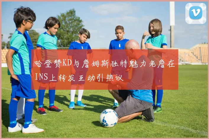 哈登赞KD与詹姆斯独特魅力老詹在INS上转发互动引热议