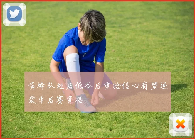 黄蜂队经历低谷后重拾信心有望逆袭季后赛资格